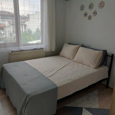 Zeytin 7 Appartement